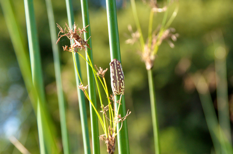 Melanie Heinrich Travel Images Africa